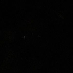 Meet your Posher, Tommy